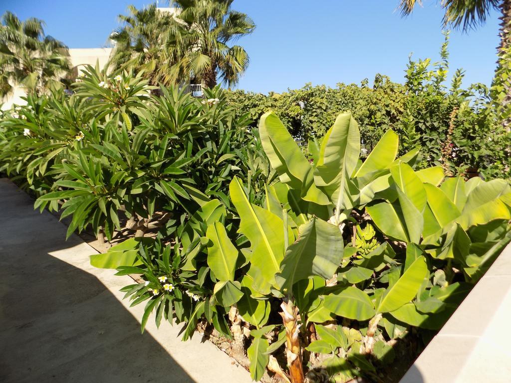 Kyriakos Court Hotel Paphos Exterior photo